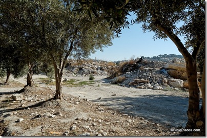Temple Mount dump, tb090705006 Temple Mount dump, tb090705006