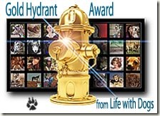 Life With Dogs award