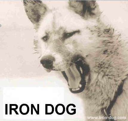 [Iron Dog Logo 2[2].jpg]