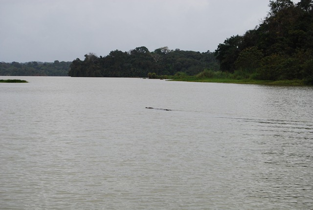 [PanamaVacationFebruary20111042.jpg]