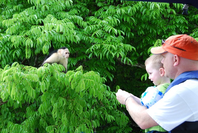 [Panama Vacation - February 2011 113.jpg]