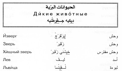 Интересная подборка фотографий фото Интересная подборка фотографий% dik araby shutyat
