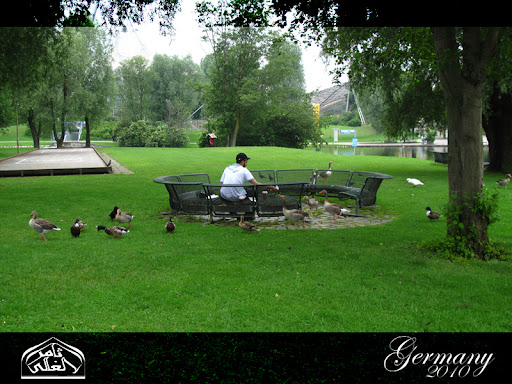 نقرتين لعرض الصورة في صفحة مستقلة