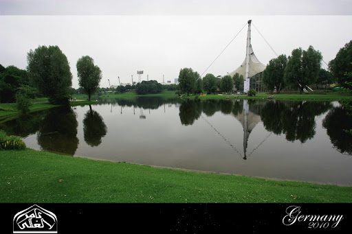 نقرتين لعرض الصورة في صفحة مستقلة