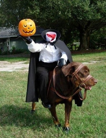 [happy_halloween_640_14[6].jpg]
