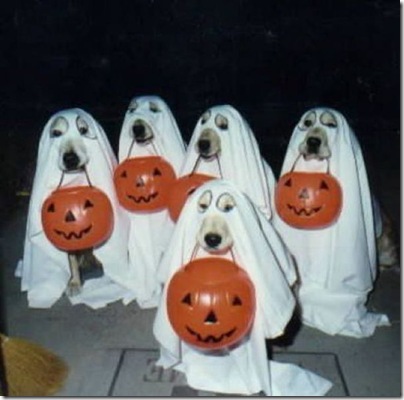 happy_halloween_640_03