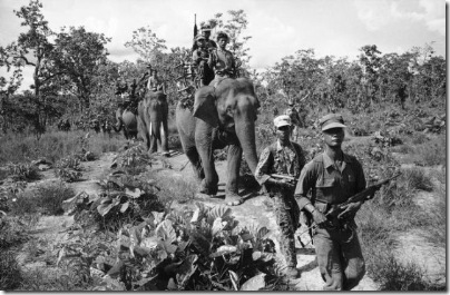 Elephant Military Transport Vietnam 1964