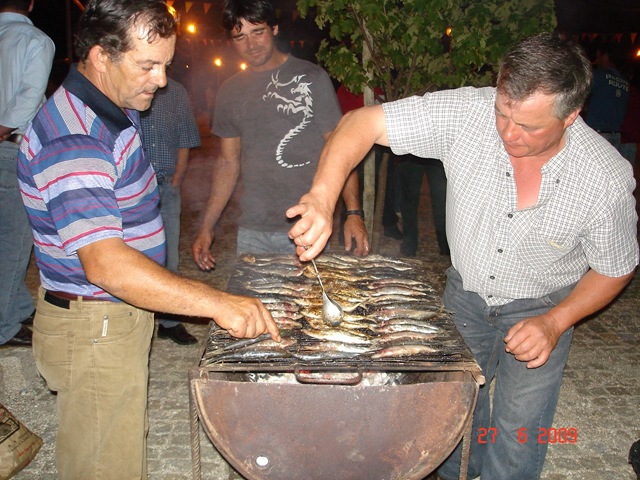 [DSC05381[3][3].jpg]