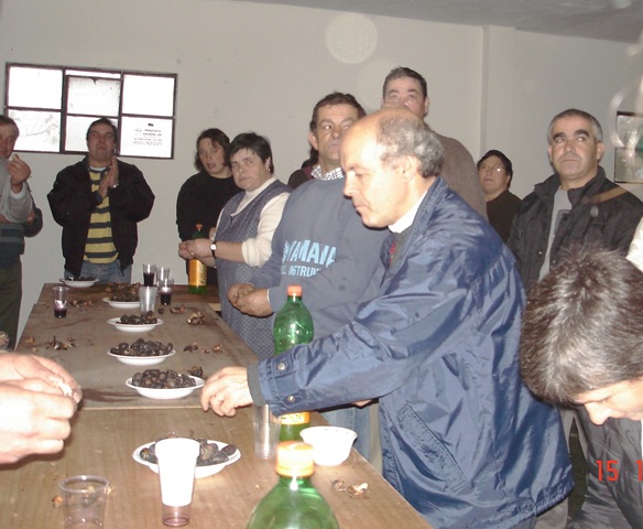 [Magusto 2009 (9)[8].jpg]
