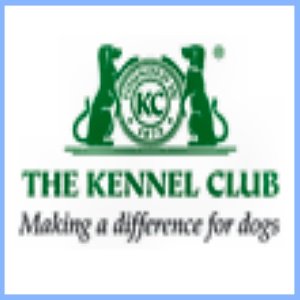 dressage chien charente maritime