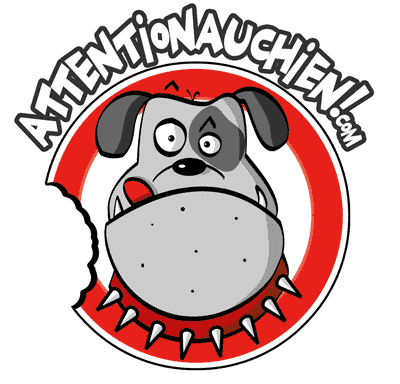 education chien charente maritime