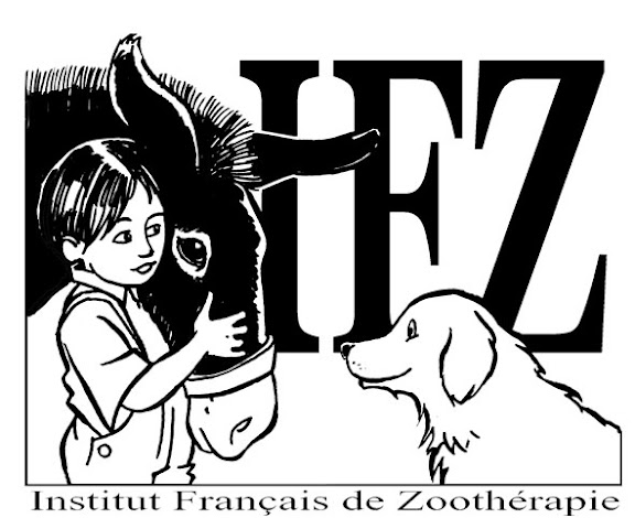 education chien charente maritime