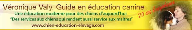educateur canin dans l'eure