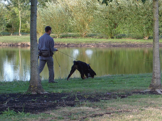 recherche utilitaire charente maritime