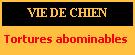 educateur canin charente