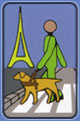 dressage chien chrente 17