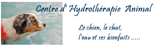 hydroth�rapie chien