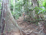 STP60569.JPG