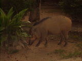 STP60588.JPG