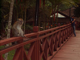 STP60594.JPG