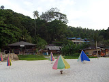 STP60630.JPG