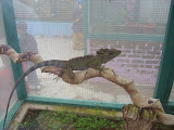STP60718.JPG