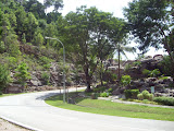 STP60781.JPG