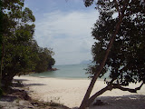 STP60783.JPG