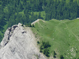 P1010860.JPG