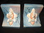20100609_0042.JPG