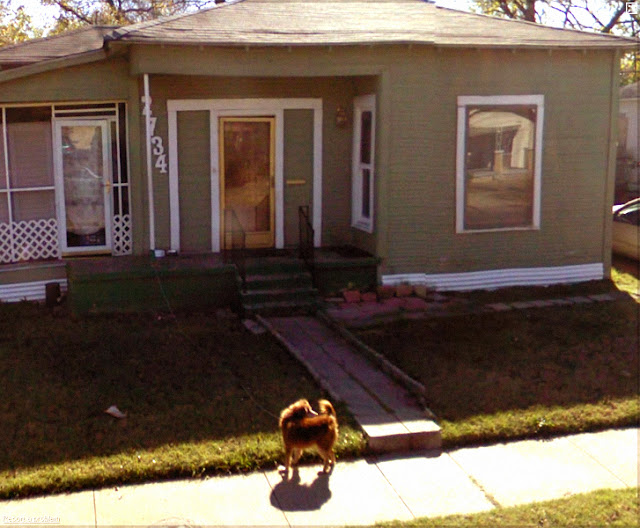 google streetview dog tied to porch