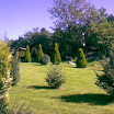 zivanov16.jpg