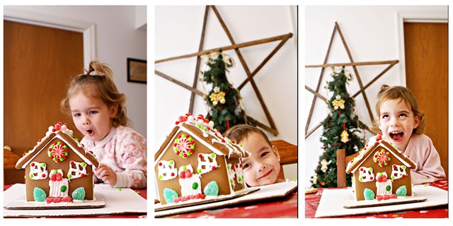 [gingerbread[5].jpg]