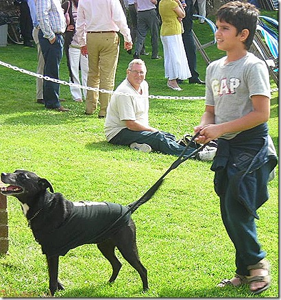 Arjun_Tendulkar_son-of-sachin-tendulakr-playing-with-dog