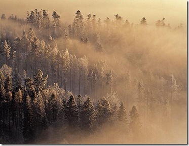 beautiful-landscape-like-wallpper