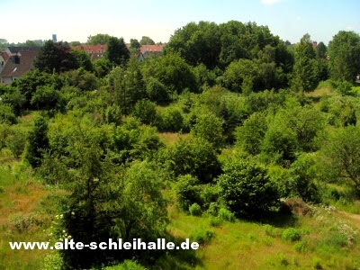 Neubaugebiet Kattenhunder Weg