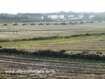 Neubaugebiet Berender Redder Schleswig - Wohnen mit Kindern in der Stadt