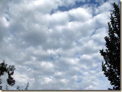 IMG_0001