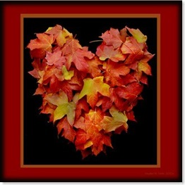 Autumn leaf heart