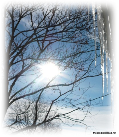 [Bright Winter Day[11].jpg]