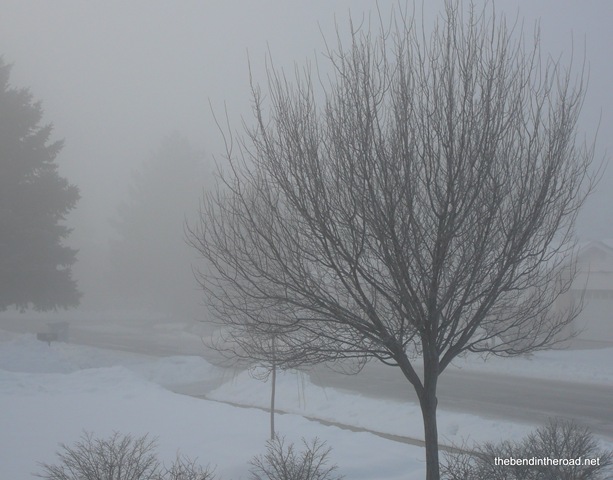 [Grey foggy January morning[4].jpg]