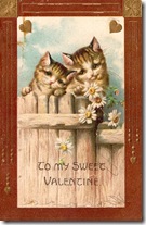 Vintage cat valentine