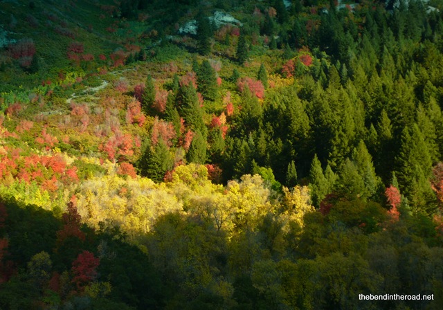 [Autumn in Provo Canyon-1[3].jpg]