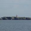 IMGP6563.JPG