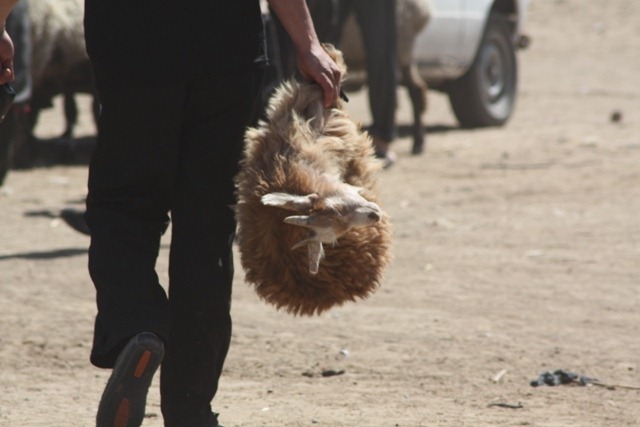 [IMG_4805[4].jpg]