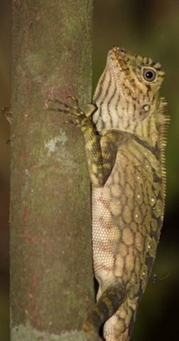[IMG_65552.jpg]