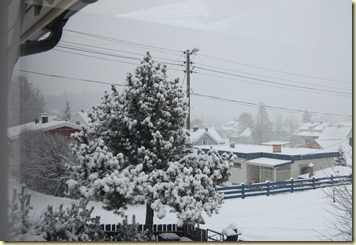 DSC_0291 DSC_0291