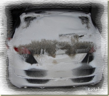 DSC_0312 DSC_0312