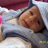 Mayıs 2009