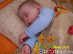 100_6871.jpg